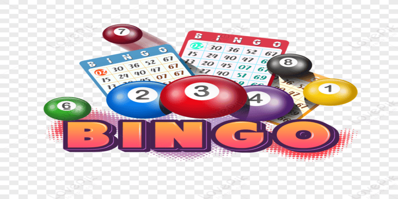 Cách chơi xổ số bingo KINGBET chi tiết nhất