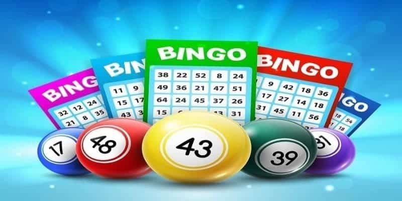 Những phiên bản bingo KINGBET nổi bật nhất